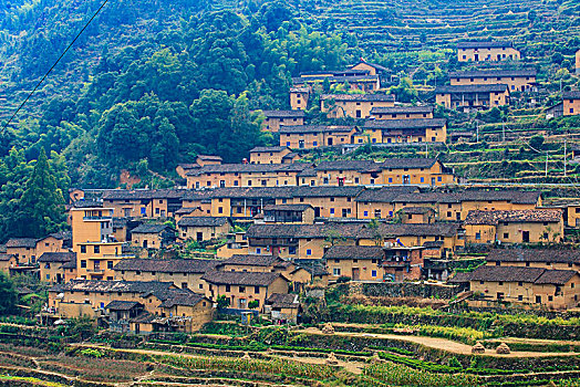 梯田,乡村,土屋