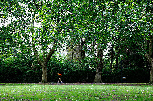 走,雨,公园,伦敦,英国