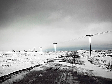 电线杆,雪中,遮盖,土地
