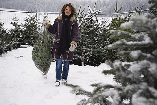 女人,买,圣诞树,萨尔茨堡,奥地利