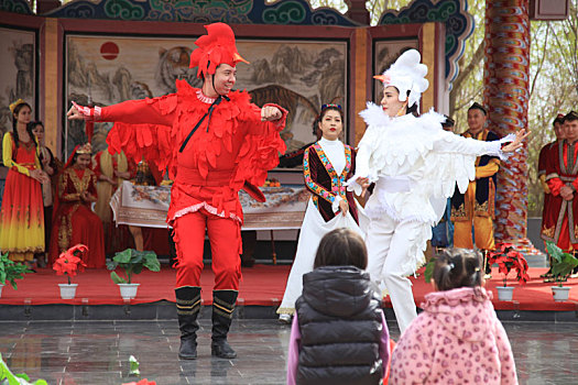 新疆哈密,鸡舞,独特魅力与文化传承