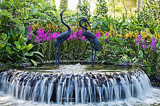 喷泉,植物园,新加坡植物园,新加坡