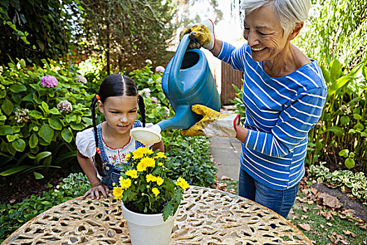 女孩,看,微笑,老年,女人,浇水,黄花,桌上,后院