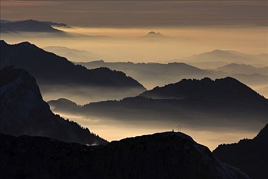 山,晚上,亮光,皮拉图斯,山脉,瑞士