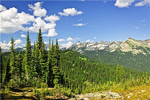 落基山,风景,攀升