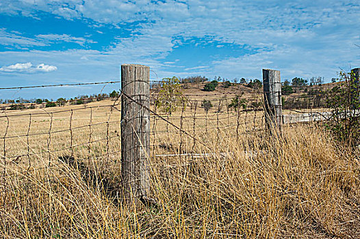 围栏,国家森林,阿肯色州,美国