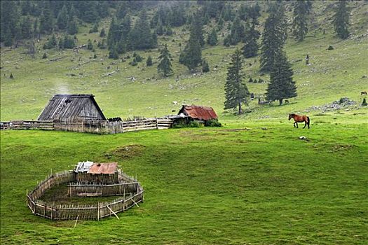 羊圈,山峦,自然,罗马尼亚,欧洲