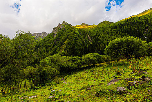 四姑娘山长坪沟风光