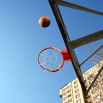 篮球,容器,球,建筑