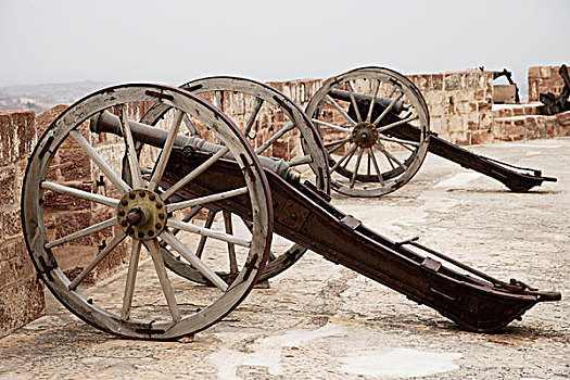 大炮,梅兰加尔堡,印度