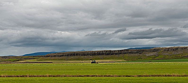 冰岛,全景,农田