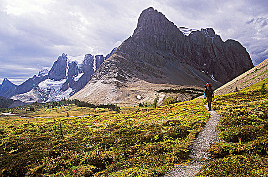 远足,小路,上方,冰河,远处,左边,图像,不列颠哥伦比亚省,加拿大