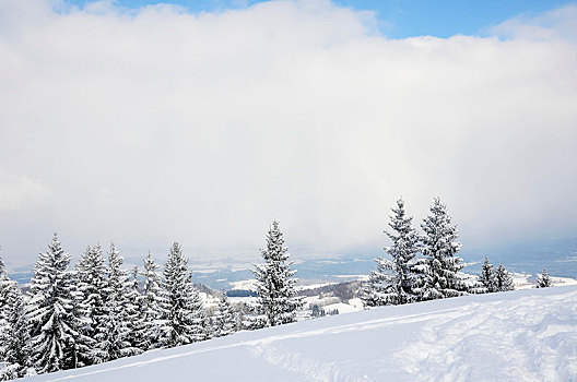 雪,云,上方,巴伐利亚,高山,上巴伐利亚,德国,欧洲