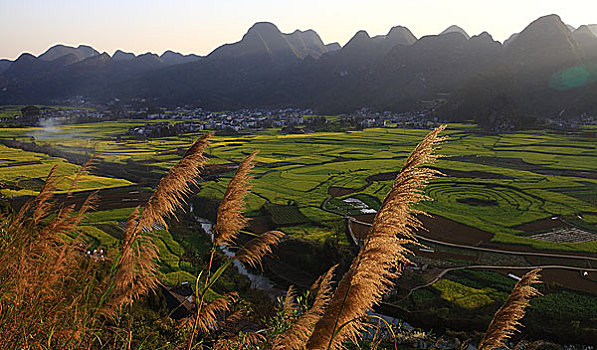 万峰林风光