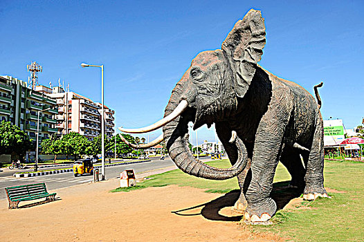 印度,安得拉邦,雕塑,大象