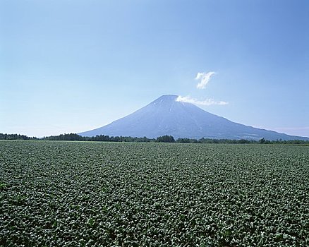 地点,山