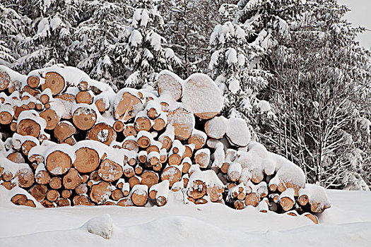 木头,窖藏啤酒,冬天,雪
