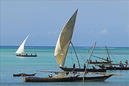东非,坦桑尼亚,桑给巴尔岛,独桅三角帆船,传统,阿拉伯,帆船,一个,帆,海岸,阿拉伯半岛,印度