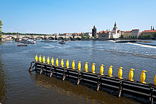 黄色,企鹅,安装,意大利,多,艺术家,缝隙,艺术,伏尔塔瓦河,河,布拉格,捷克共和国,欧洲