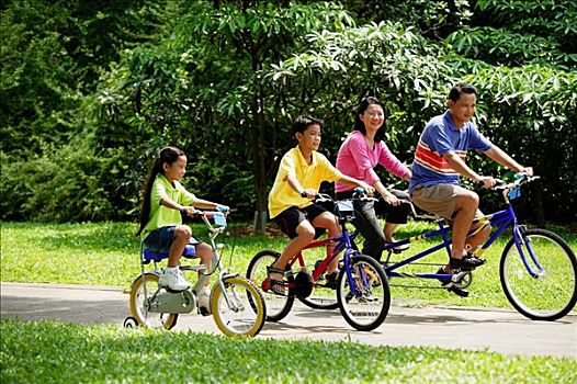 家庭,公园,骑自行车