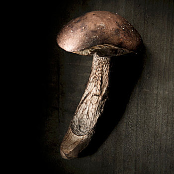 蘑菇,黑色背景