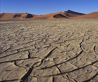 干燥,湖床,索苏维来地区,纳米布沙漠,纳米比亚
