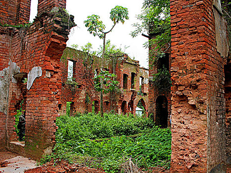 遗址,宫殿,建造,陆地,岁月,孟加拉,七月,2007年