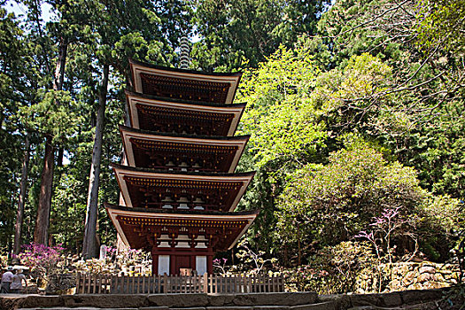 塔,庙宇,奈良县,日本