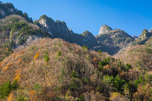 秦岭山秋景