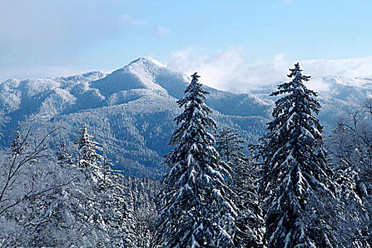冬季风景,北海道