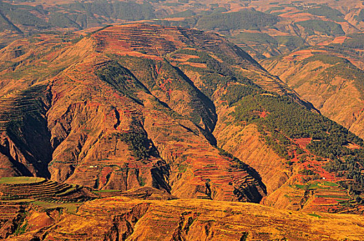 东川红土地