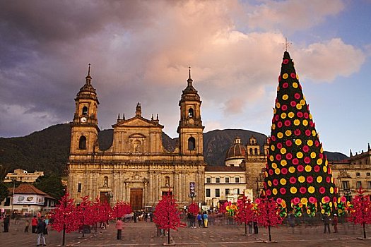 哥伦比亚,波哥大,新古典,大教堂,圣诞节