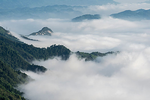 夏季,早晨,重庆,山谷,雨后,云海