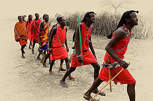 传统,马萨伊,跳舞,马赛马拉国家保护区,肯尼亚,非洲