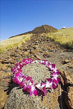 夏威夷,夏威夷大岛,北柯哈拉,兰花,花环,前景