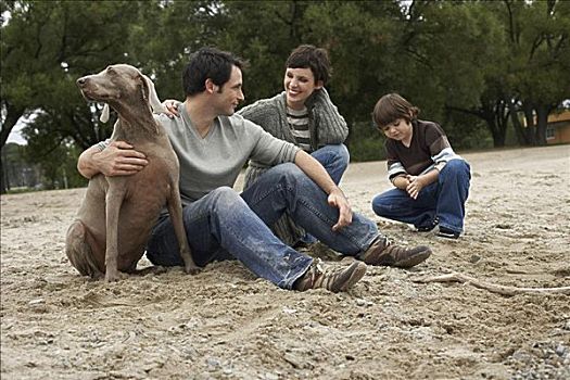家庭,狗,海滩