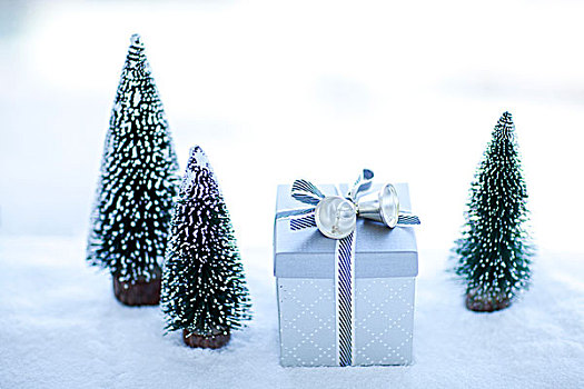圣诞树,礼盒,毛皮