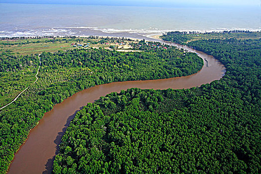 河,沉淀物,腐蚀,森林采伐,油,手掌,种植园,国家公园,沙捞越,马来西亚