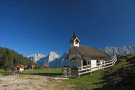 小教堂,风景,提洛尔,奥地利