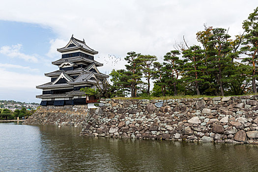 日本,城堡,松本