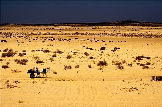 人,沙漠,突尼斯