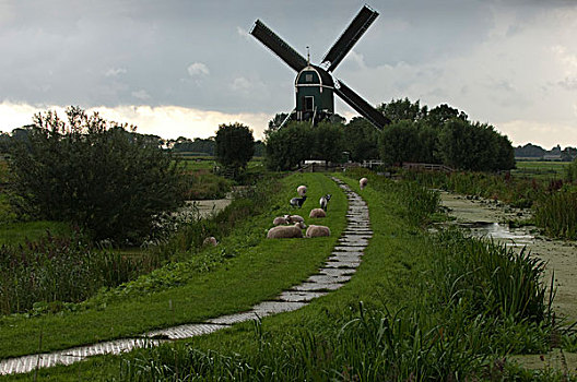 风车,荷兰南部,荷兰