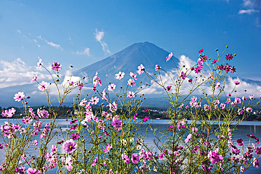 山,富士山,湖