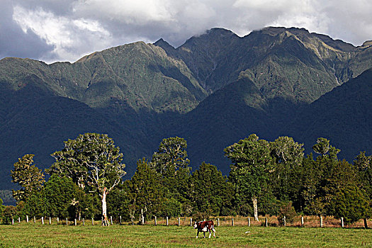 马瑟森湖lake,matheson