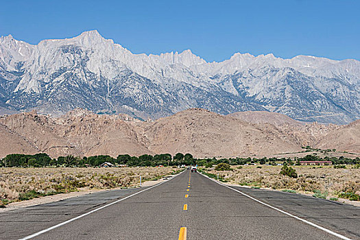 公路,靠近,孤单,松树,山,内华达山脉,背影,加利福尼亚,美国,北美
