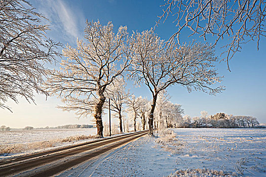 冬天,石荷州,德国