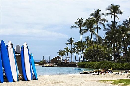 冲浪板,海滩,夏威夷,美国