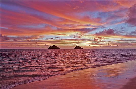 夏威夷,瓦胡岛,彩色,粉色,日出,上方,岛屿