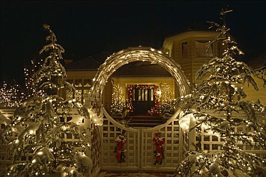 房子,圣诞灯光,冬天,雪