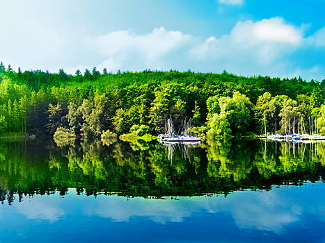 绿色,树林,反射,蓝湖,水,风景,夏天,湖水